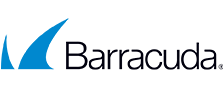 Barracuda logo in colour