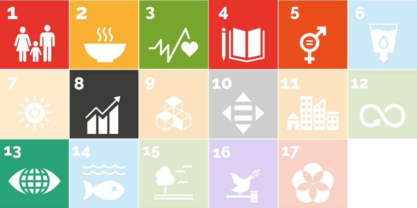 7 of the UN SDGs